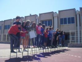 BRIÑAS DBH 1D-E